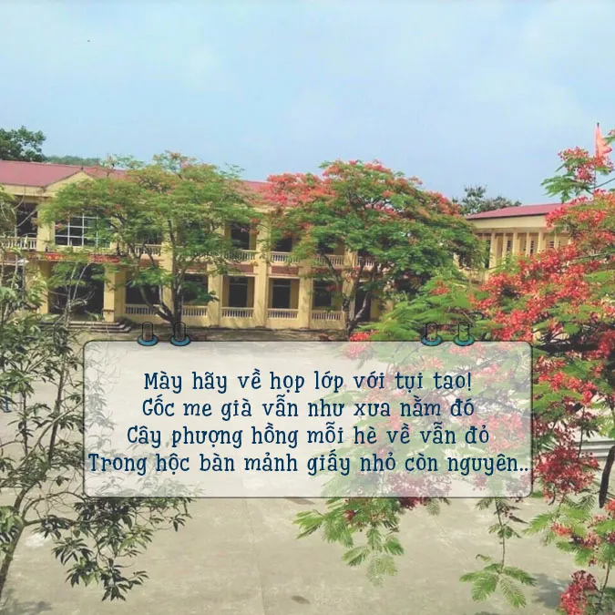 37 bài thơ họp lớp dạt dào ký ức tuổi