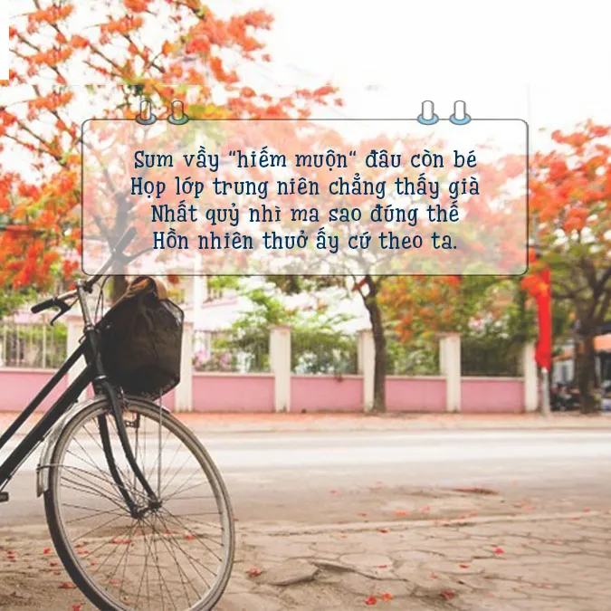 37 bài thơ họp lớp dạt dào ký ức tuổi