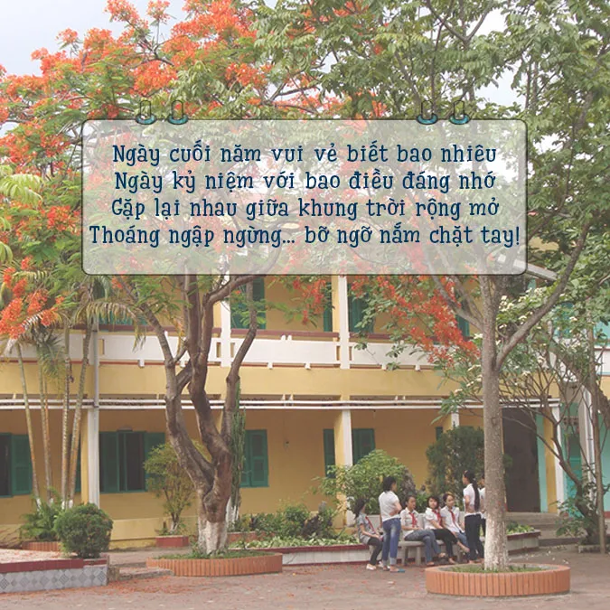 37 bài thơ họp lớp dạt dào ký ức tuổi