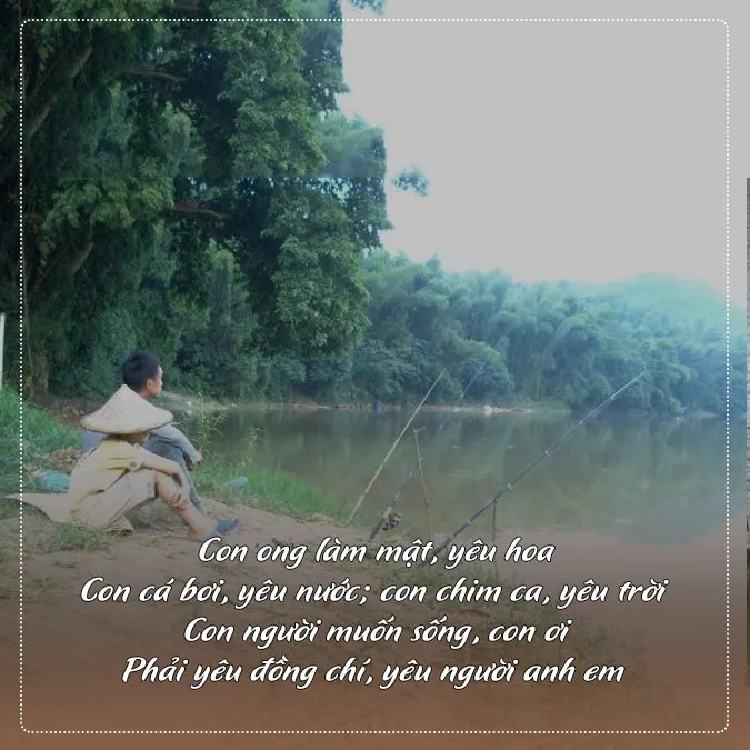 Thơ câu cá 6