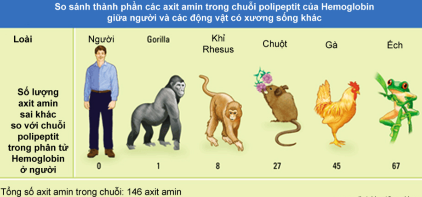 bang chung tien hoa truc tiep 4