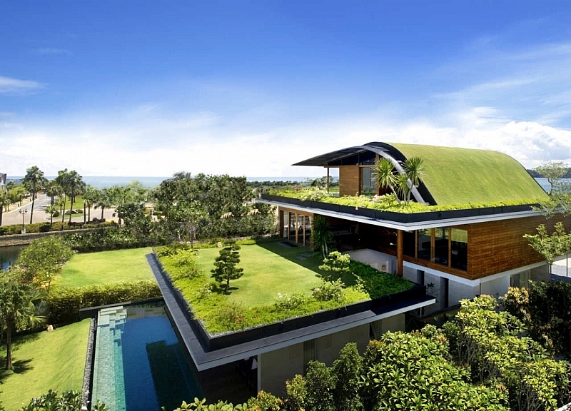 Các biện pháp giảm trừ hiệu ứng nhà kính - Ảnh 5