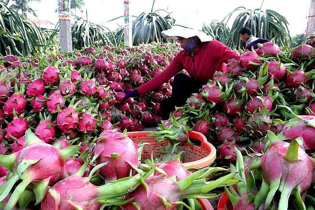 Các biện pháp giảm trừ hiệu ứng nhà kính - Ảnh 8
