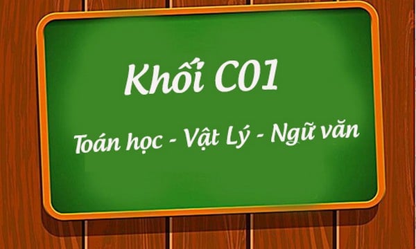 Khối C01 gồm ba môn Toán - Văn - Vật lý