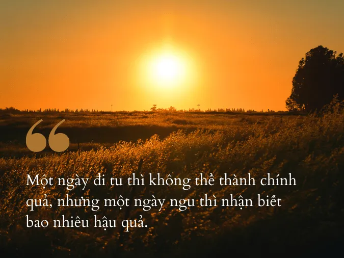 cham-ngon-cuoc-song-voh-16