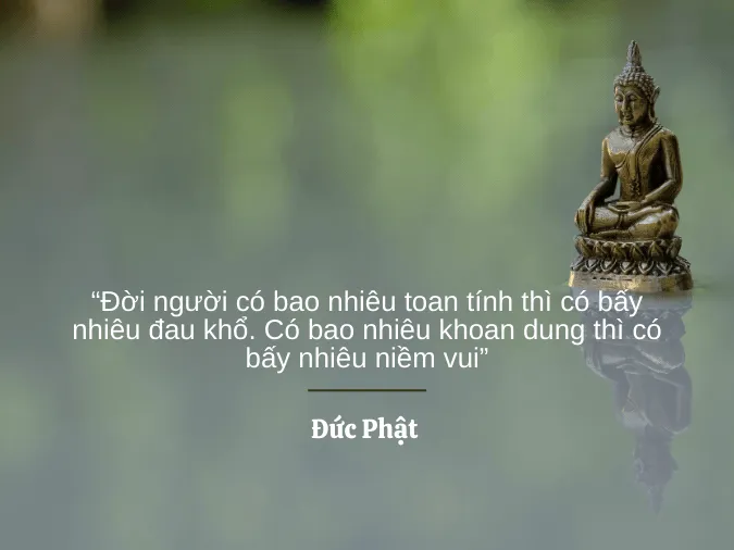 cham-ngon-cuoc-song-voh-12