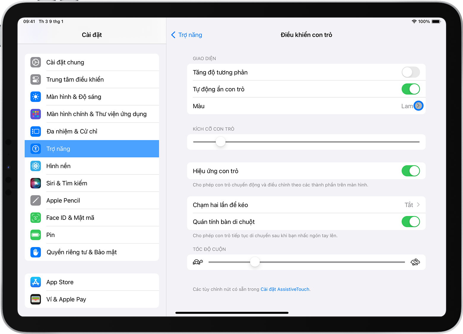 Ngăn cài đặt trợ năng của iPad