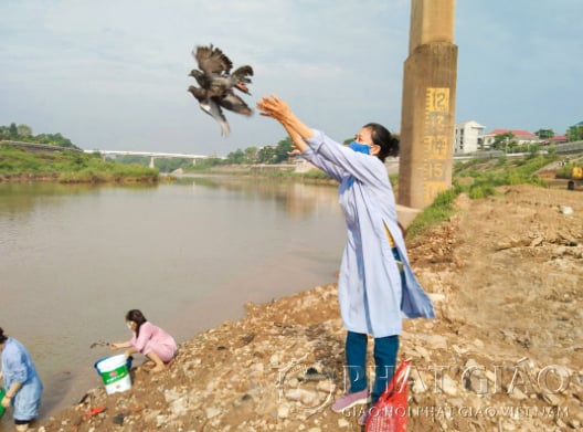 Phóng sinh như thế nào cho đúng cách? 3