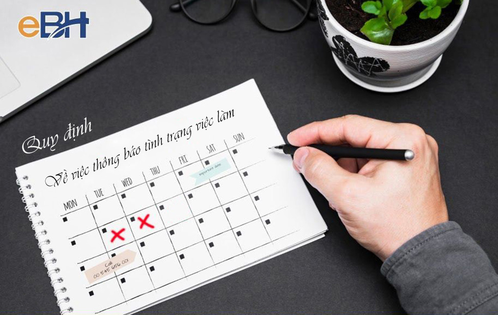 Quy định về thời gian thông báo tình trạng việc làm hàng tháng