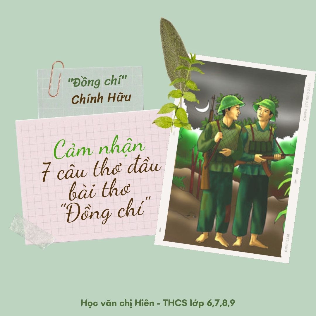cam nhan 7 cau dau bai dong chi