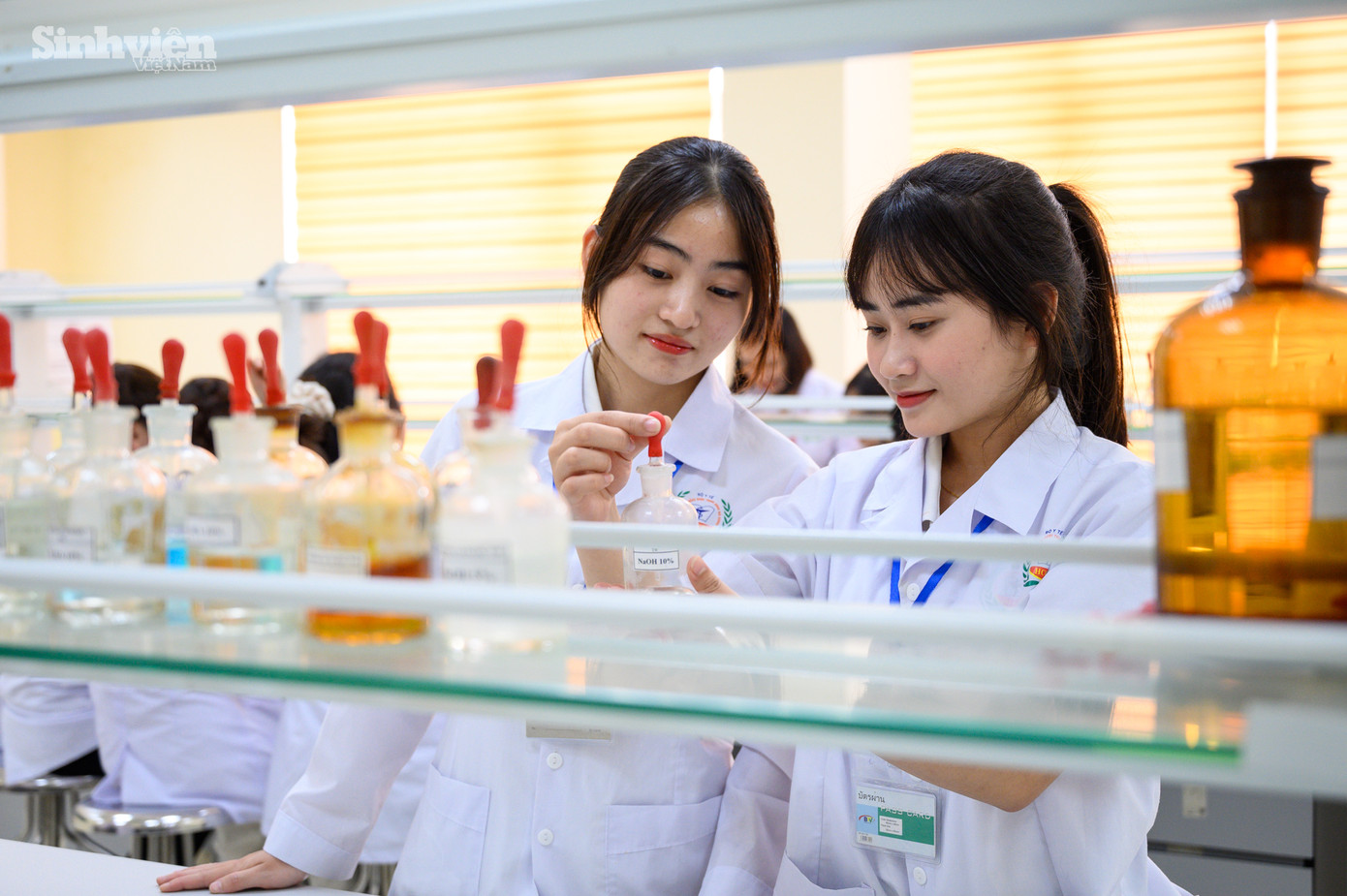 Sinh viên theo học ngành Dược trình độ cao đẳng hệ chính quy của trường sẽ được hỗ trợ 70% học phí từ Bộ Y tế.