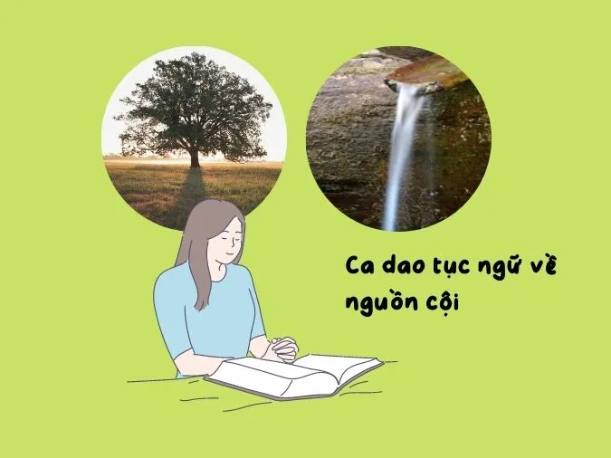 “Cây có cội nước có nguồn” có ý nghĩa gì? 4