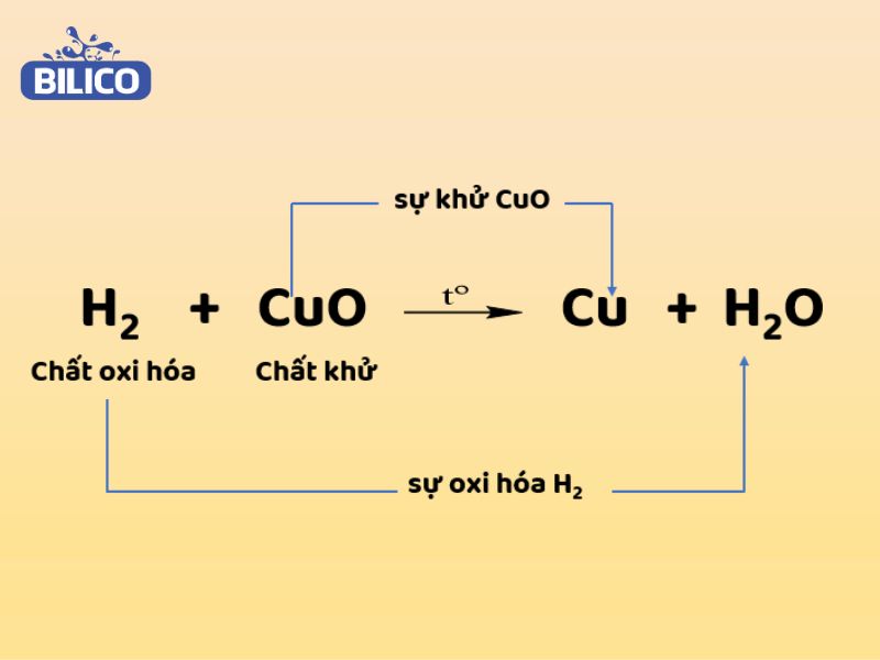 Chất khử trong phương trình hóa học