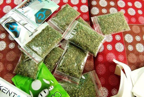 Cỏ mỹ là chất gây nghiện mới được du nhập vào Việt Nam