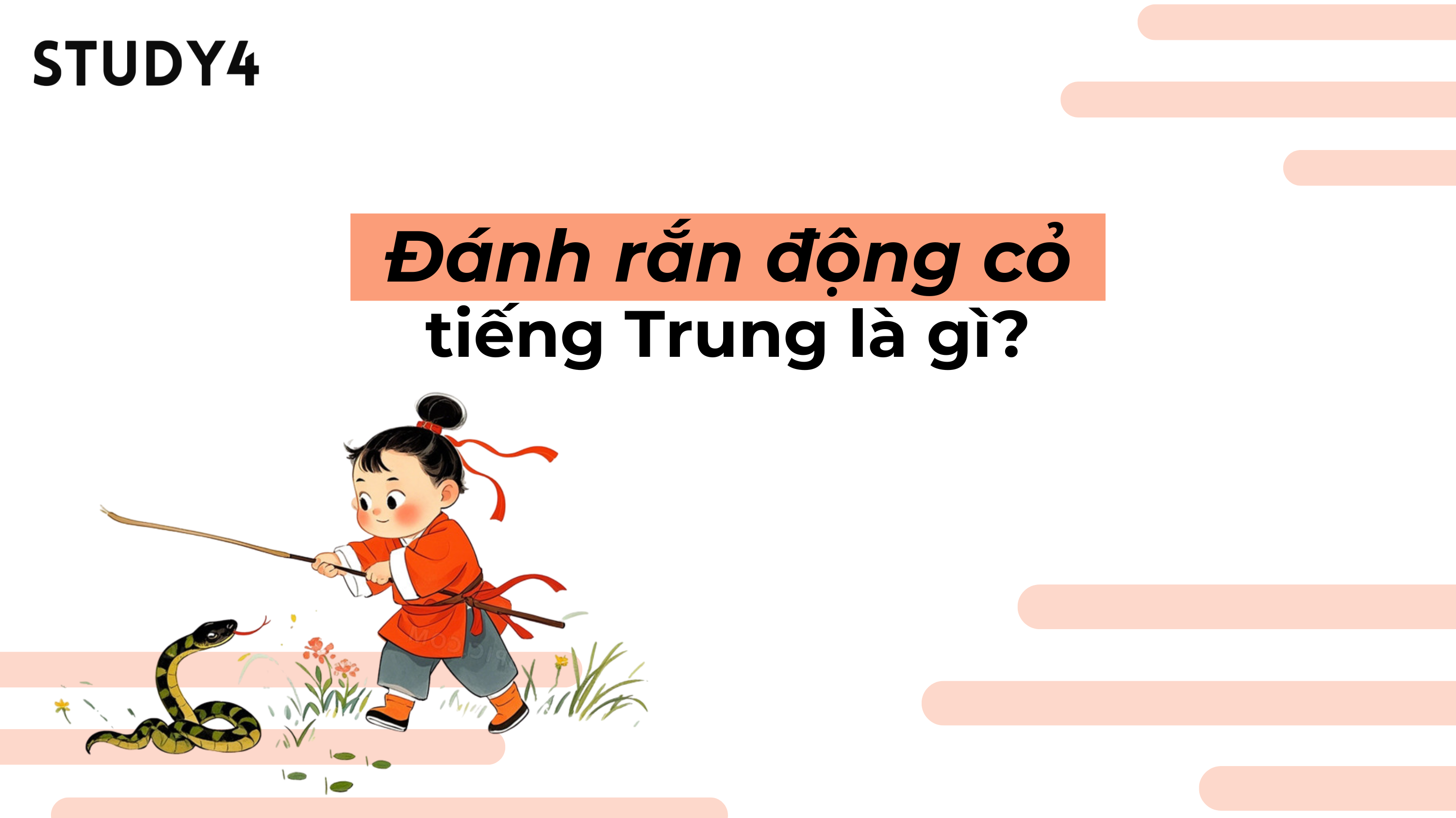 “Đánh rắn động cỏ” tiếng Trung là gì? Ý nghĩa & cách vận dụng thành ngữ
