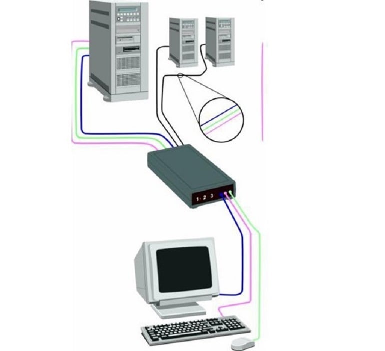 Có nhiều loại Switch khác nhau