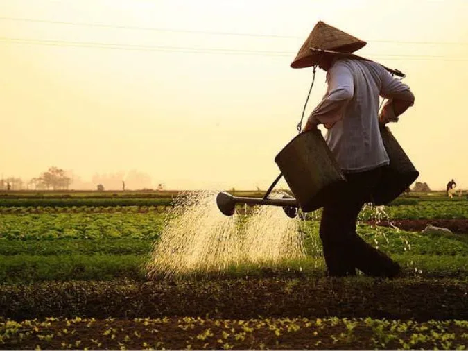 Giải thích câu tục ngữ