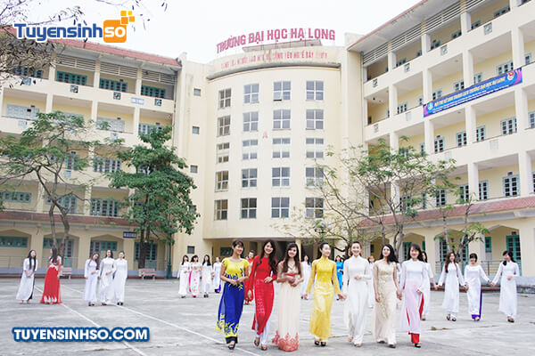 dai hoc ha long co so 2