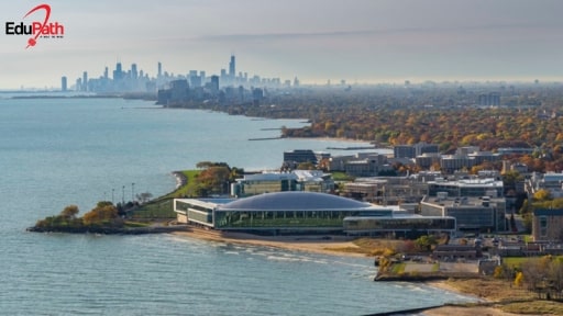 Nhìn từ xa trường Northwestern University - EduPath