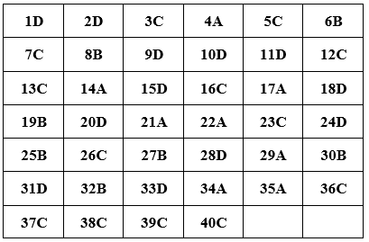 Đề thi Tiếng Anh lớp 10 mới Học kì 2 có đáp án (Đề 5)
