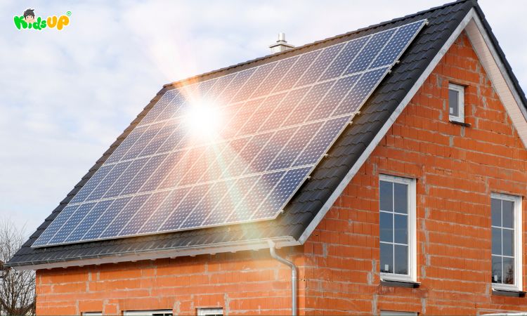Tấm pin mặt trời hấp thụ quang năng để chuyển thành điện năng và nhiệt năng