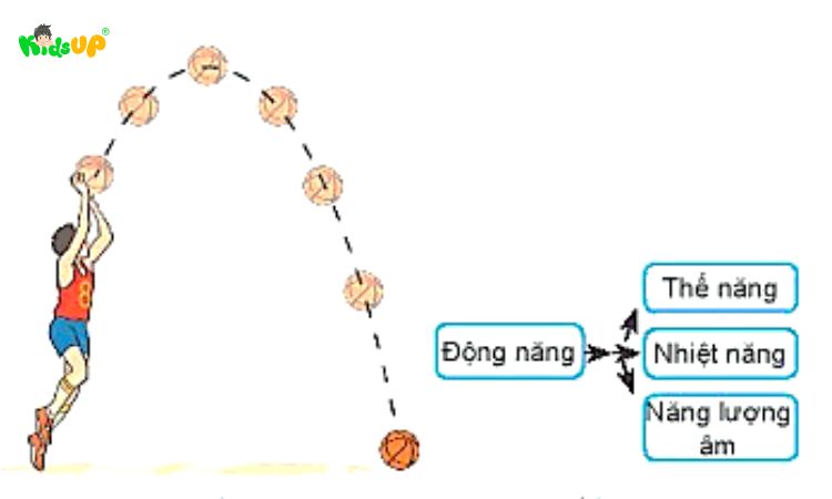 Bóng rổ rơi từ trên cao xuống mặt đất tạo ra động năng