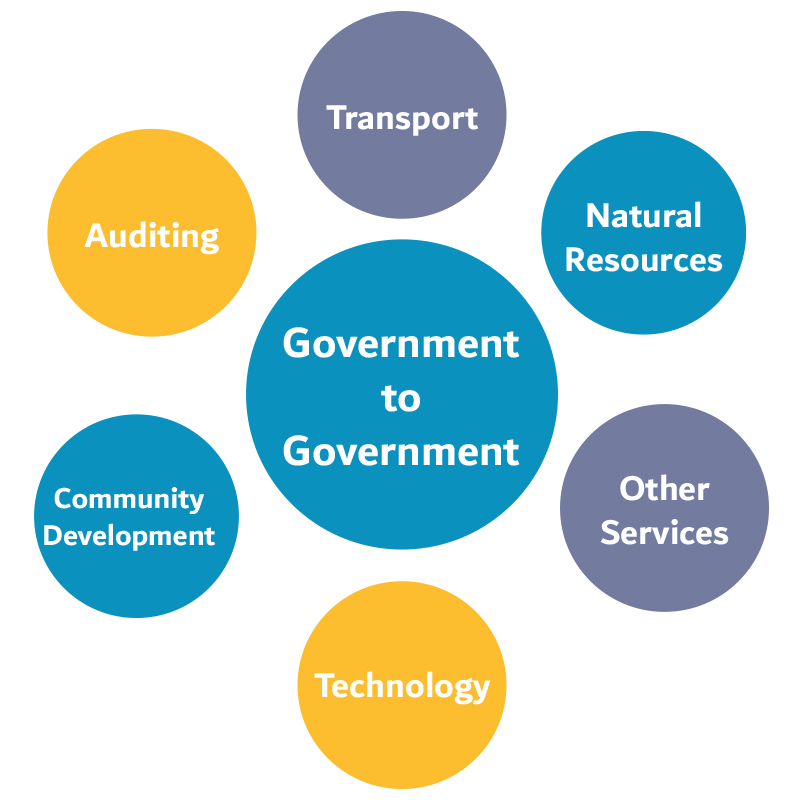 G2G (Government to Government)