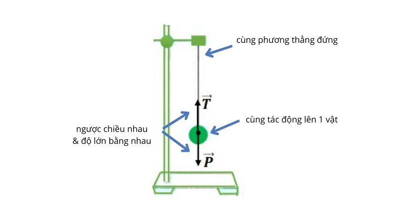 Cách xác định hai lực cân bằng. (Ảnh: Sưu tầm Internet)