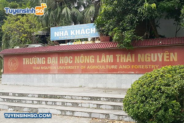hoc phi truong dai hoc nong lam 1