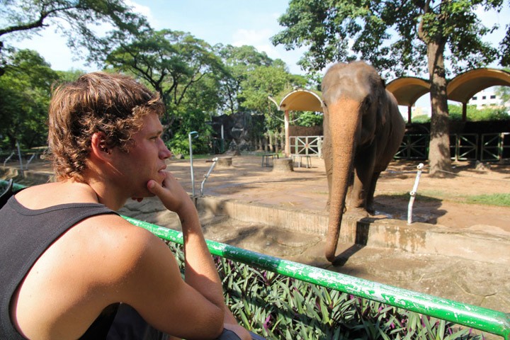 Ho Chi Minh City Zoo