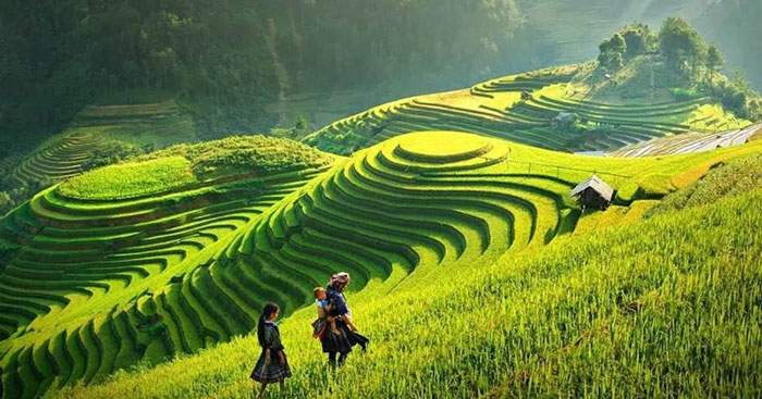 ket bai viet bac 8 cau dau