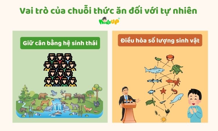 Vai trò của chuỗi thức ăn trong tự nhiên