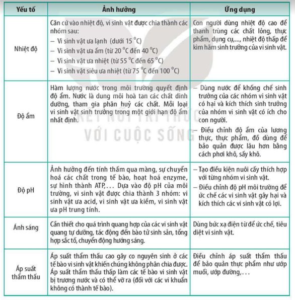 Lý thuyết trao đổi chất, sinh trưởng và sinh sản ở vi sinh vật - Sinh 10 Kết nối tri thức</>