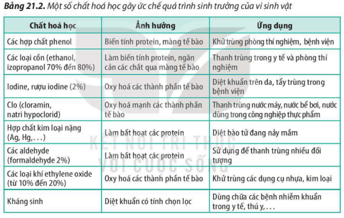 Lý thuyết trao đổi chất, sinh trưởng và sinh sản ở vi sinh vật - Sinh 10 Kết nối tri thức</>
