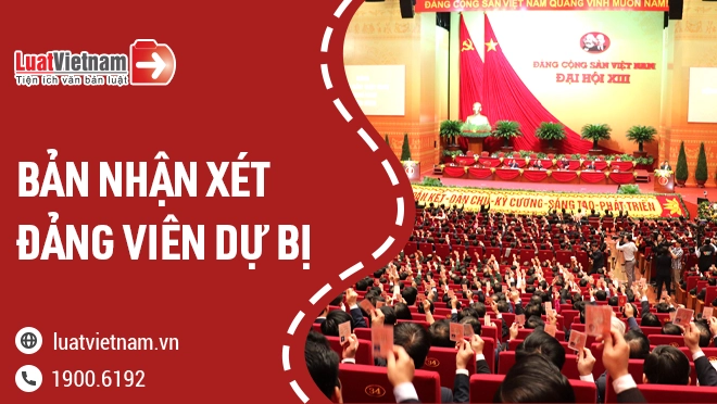 ban nhan xet dang vien du bi