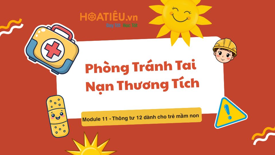 module 11 mam non theo thong tu 12