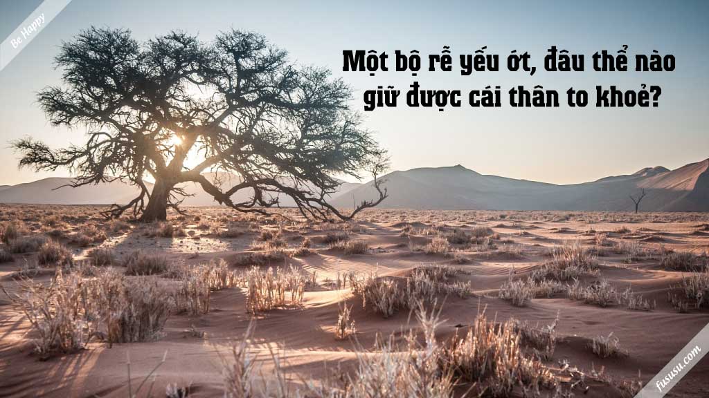 truyện ngụ ngôn hay về cái cây