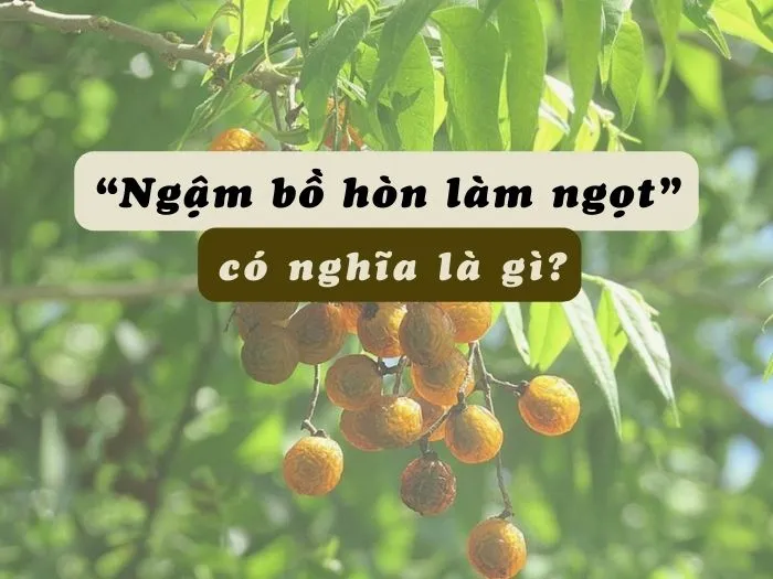 Ý nghĩa câu nói