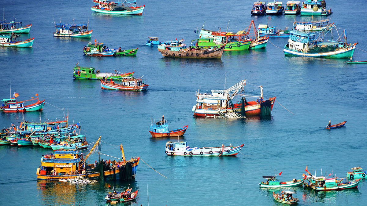 tinh hinh nuoi trong thuy san tai nuoc ta hien nay 4