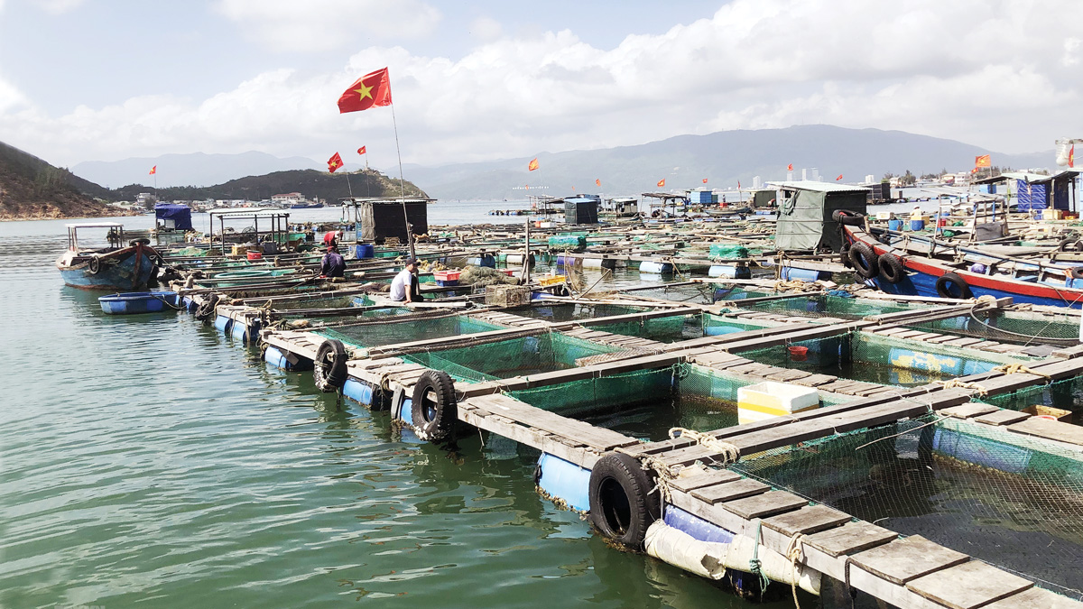 tinh hinh nuoi trong thuy san tai nuoc ta hien nay 2