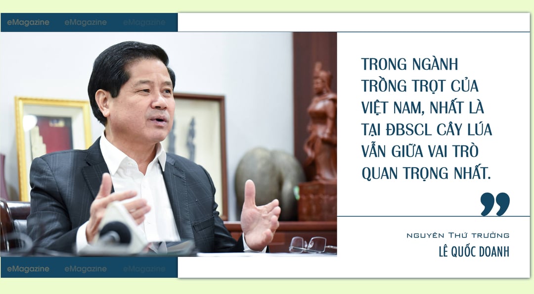 nganh trong lua cua nuoc ta hien nay 1