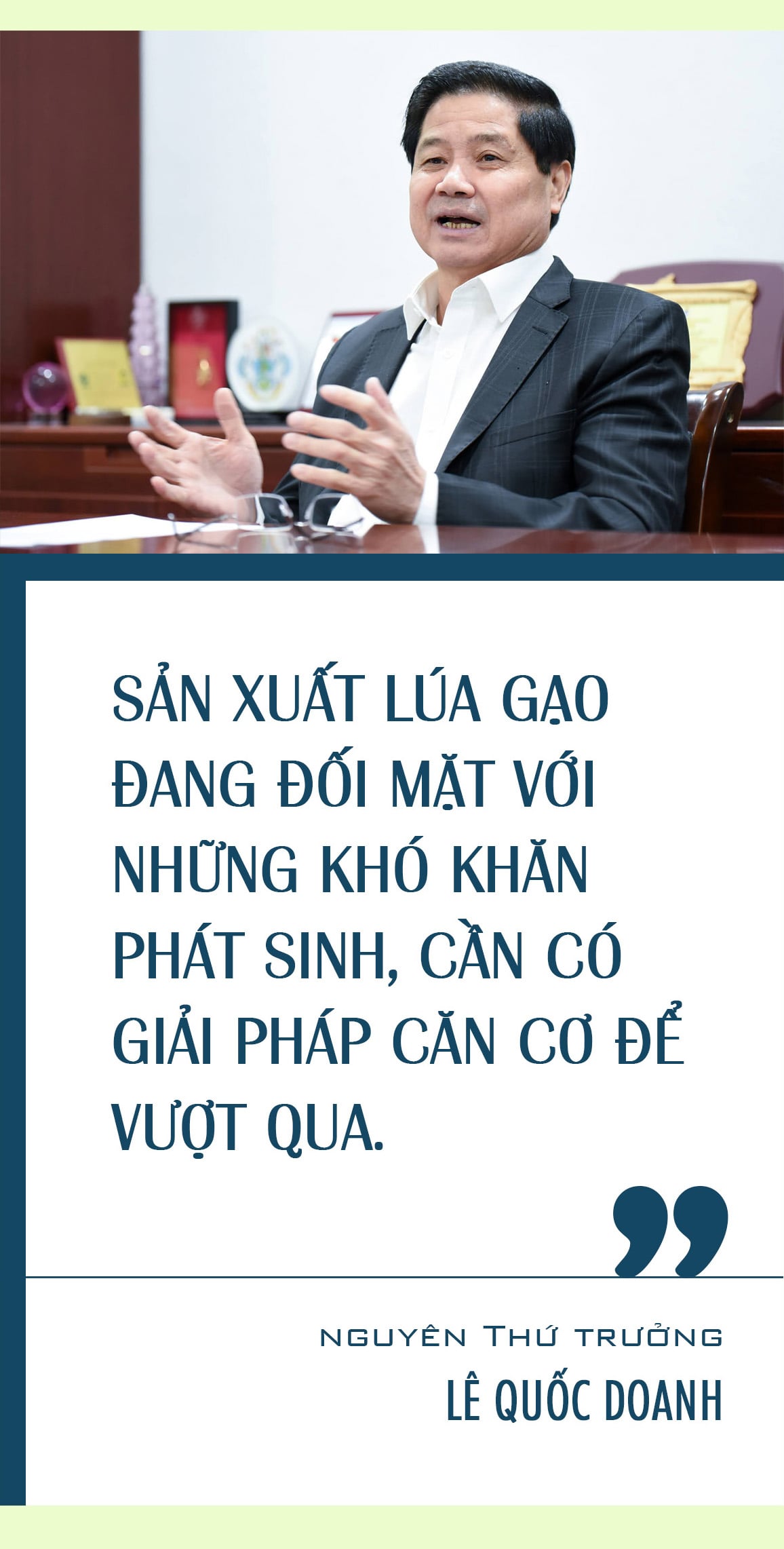 nganh trong lua cua nuoc ta hien nay 13