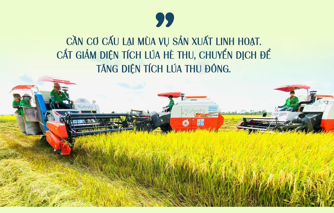 nganh trong lua cua nuoc ta hien nay 18