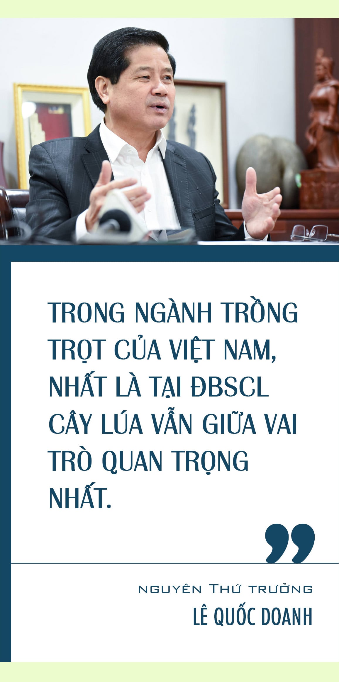 nganh trong lua cua nuoc ta hien nay 2