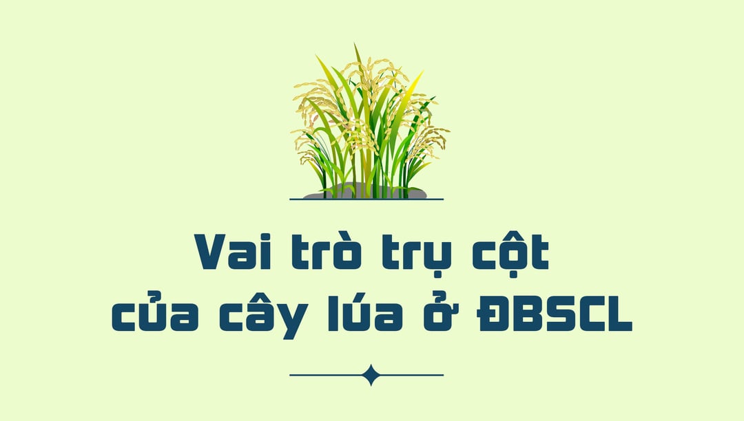 nganh trong lua cua nuoc ta hien nay