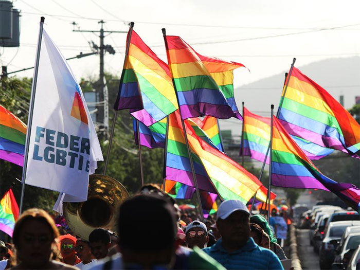 Tại Việt Nam, "Việt Pride" cũng được tổ chức thường niên từ 2012.