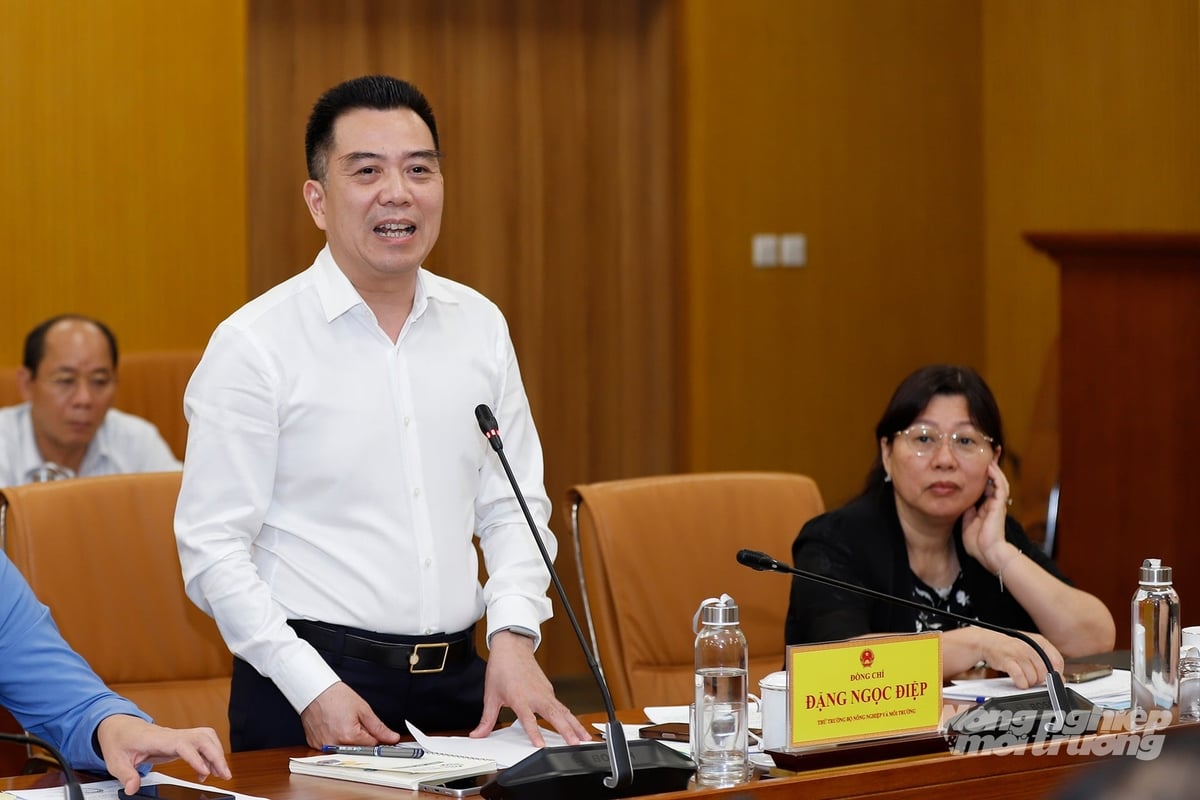 Thứ trưởng Đặng Ngọc Điệp phát biểu ý kiến tại Hội nghị giao ban công tác tháng 4, triển khai nhiệm vụ tháng 5 và quý II/2026. Ảnh: Khương Trung.