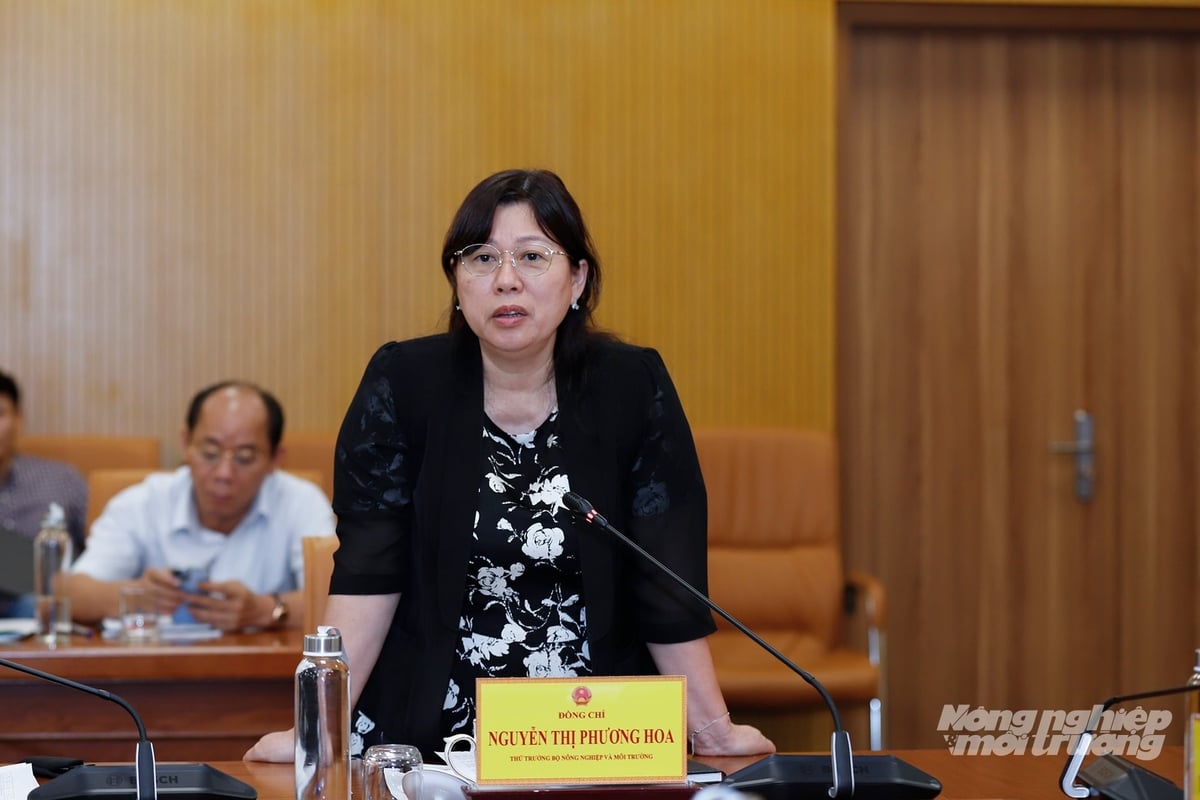 Thứ trưởng Nguyễn Thị Phương Hoa phát biểu ý kiến tại Hội nghị giao ban công tác tháng 4, triển khai nhiệm vụ tháng 5 và quý II/2026. Ảnh: Khương Trung.
