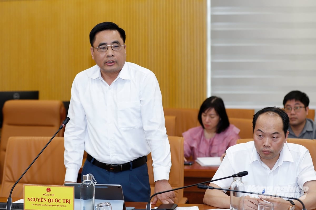 Thứ trưởng Nguyễn Quốc Trị phát biểu ý kiến tại Hội nghị giao ban công tác tháng 4, triển khai nhiệm vụ tháng 5 và quý II/2026. Ảnh: Khương Trung.