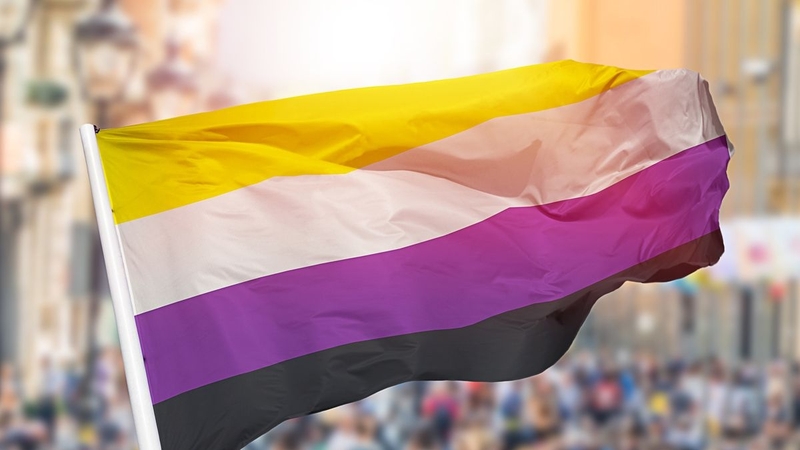 non-binary-la-gi-nhung-dieu-can-biet-ve-non-binary 2